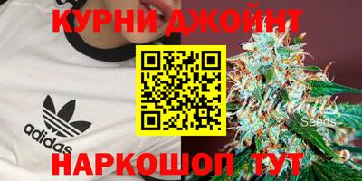 сатива Изобильный