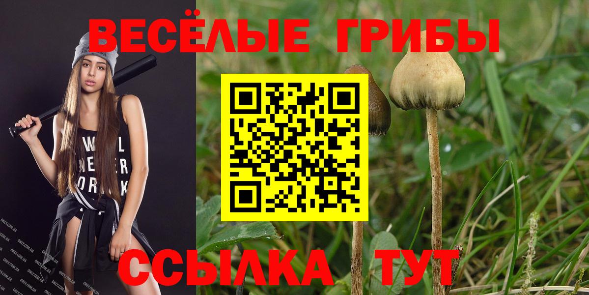 Галлюциногенные грибы Magic Shrooms  Вход с VPN  Луга 